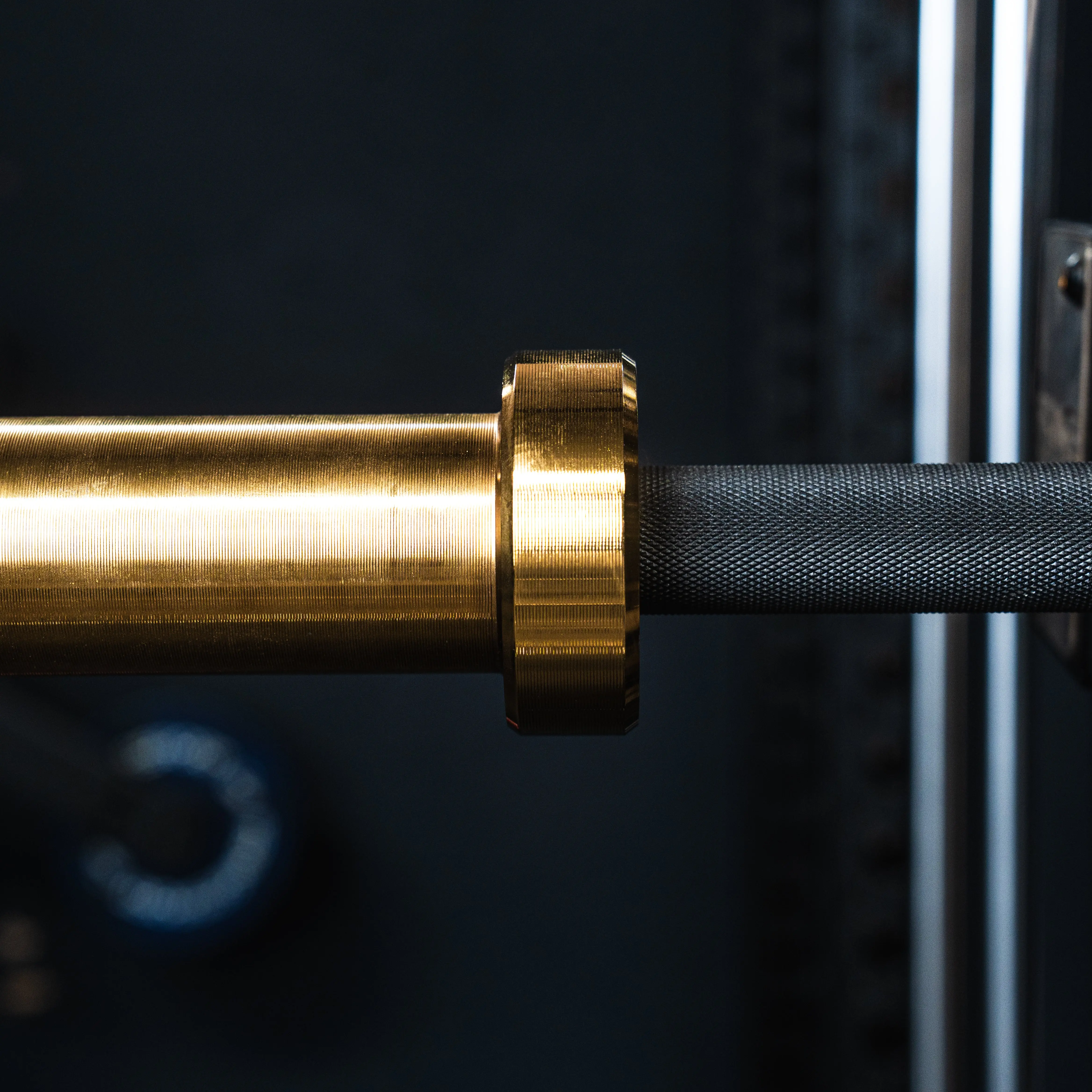 EZ Curl Bar Midas - Image 7