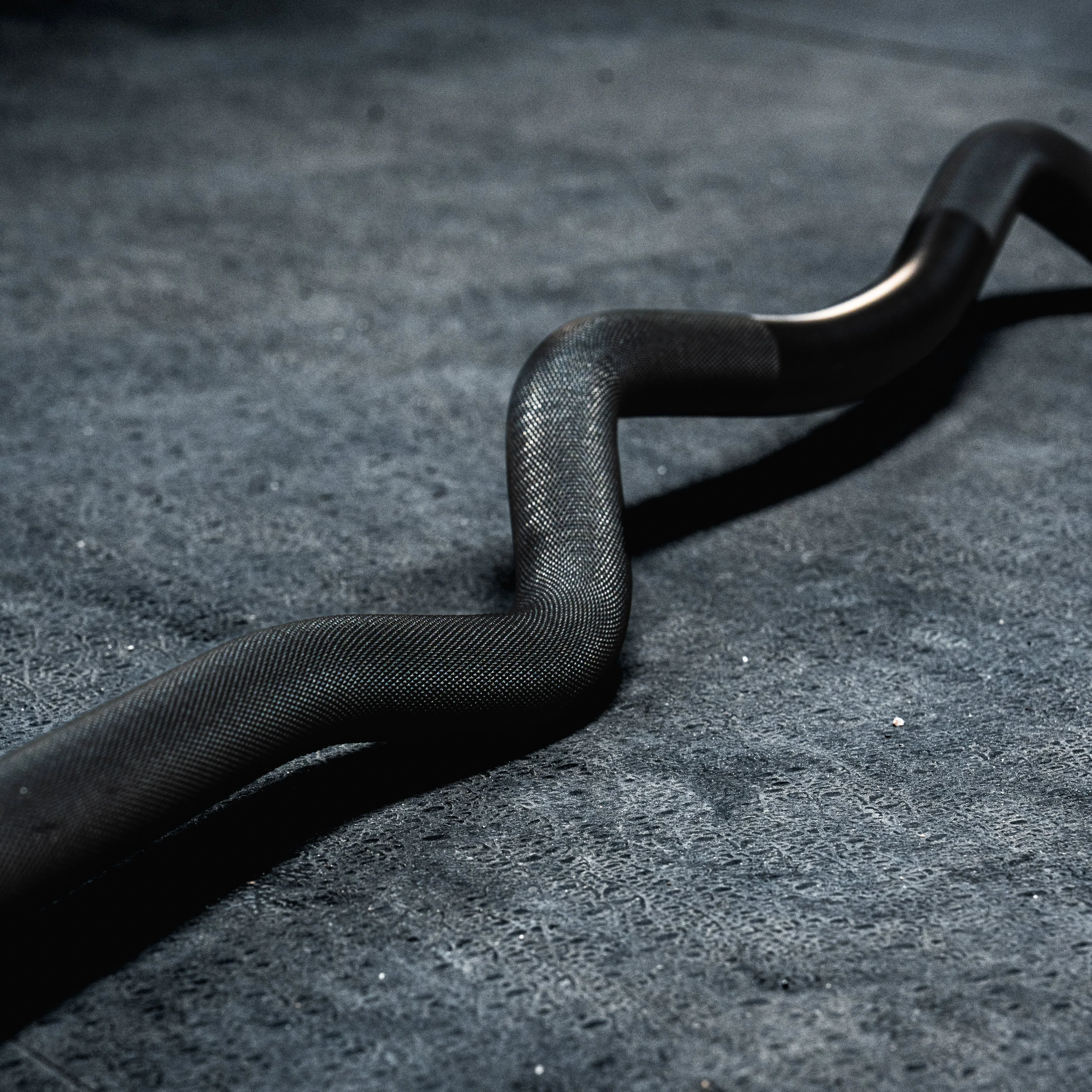 EZ Curl Bar Midas - Image 8