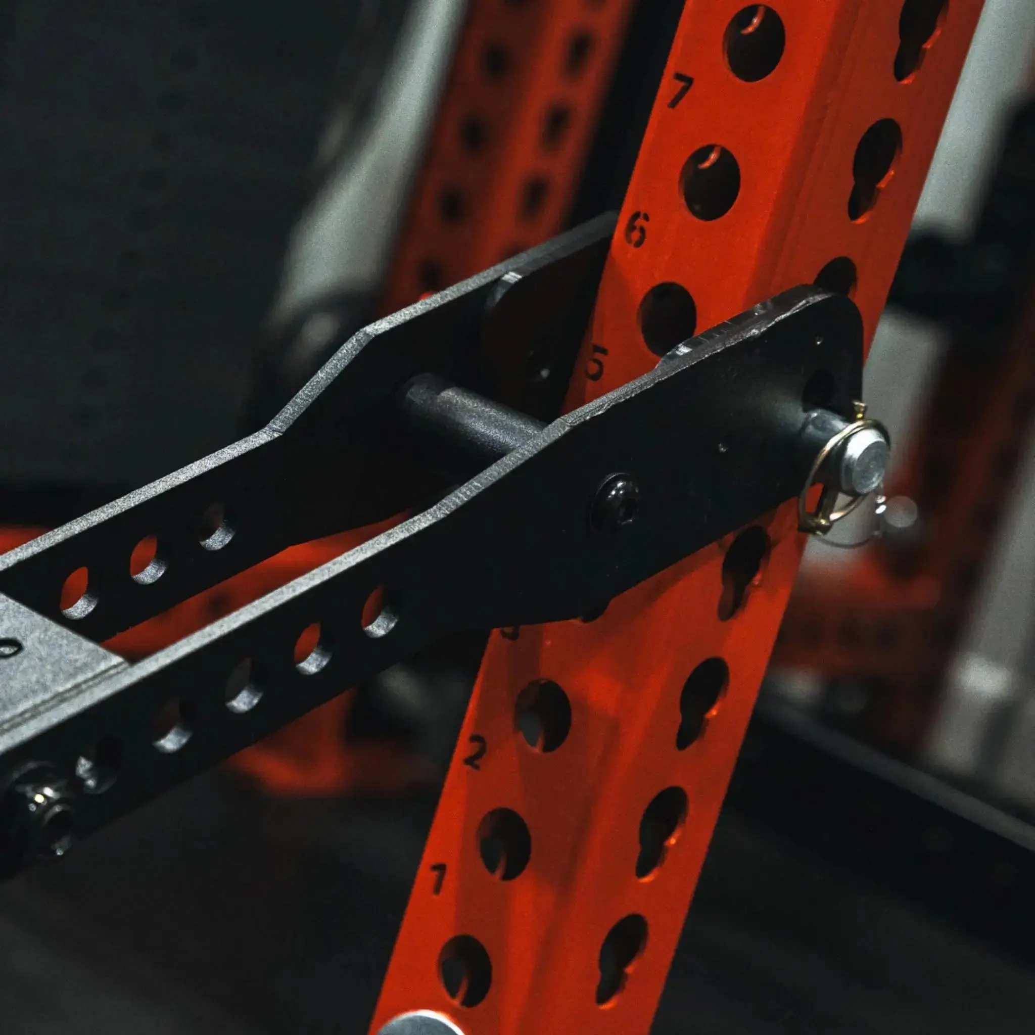 Mammoth Belt Squat (With Free Belt) - Image 11
