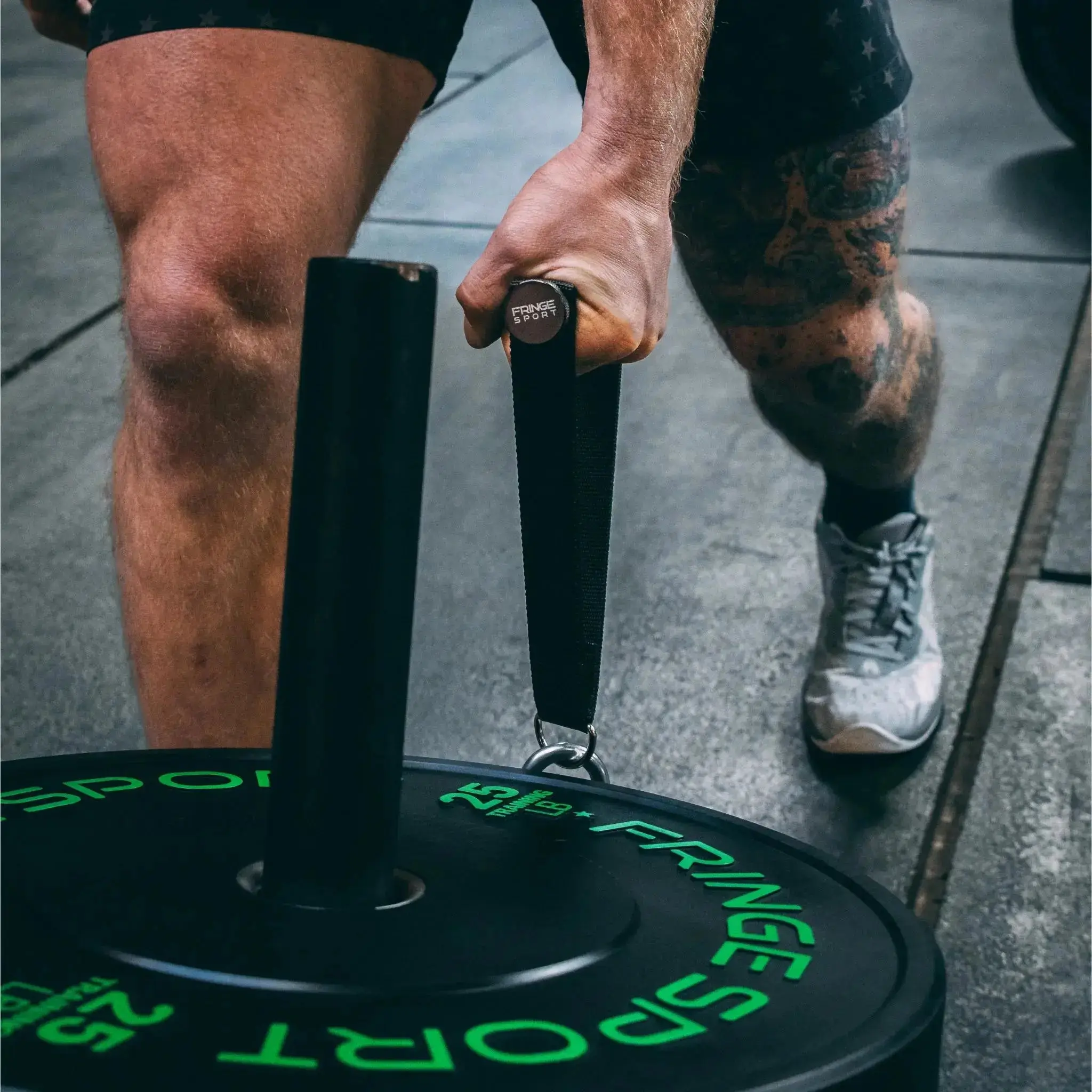 Mammoth Belt Squat (With Free Belt) - Image 17