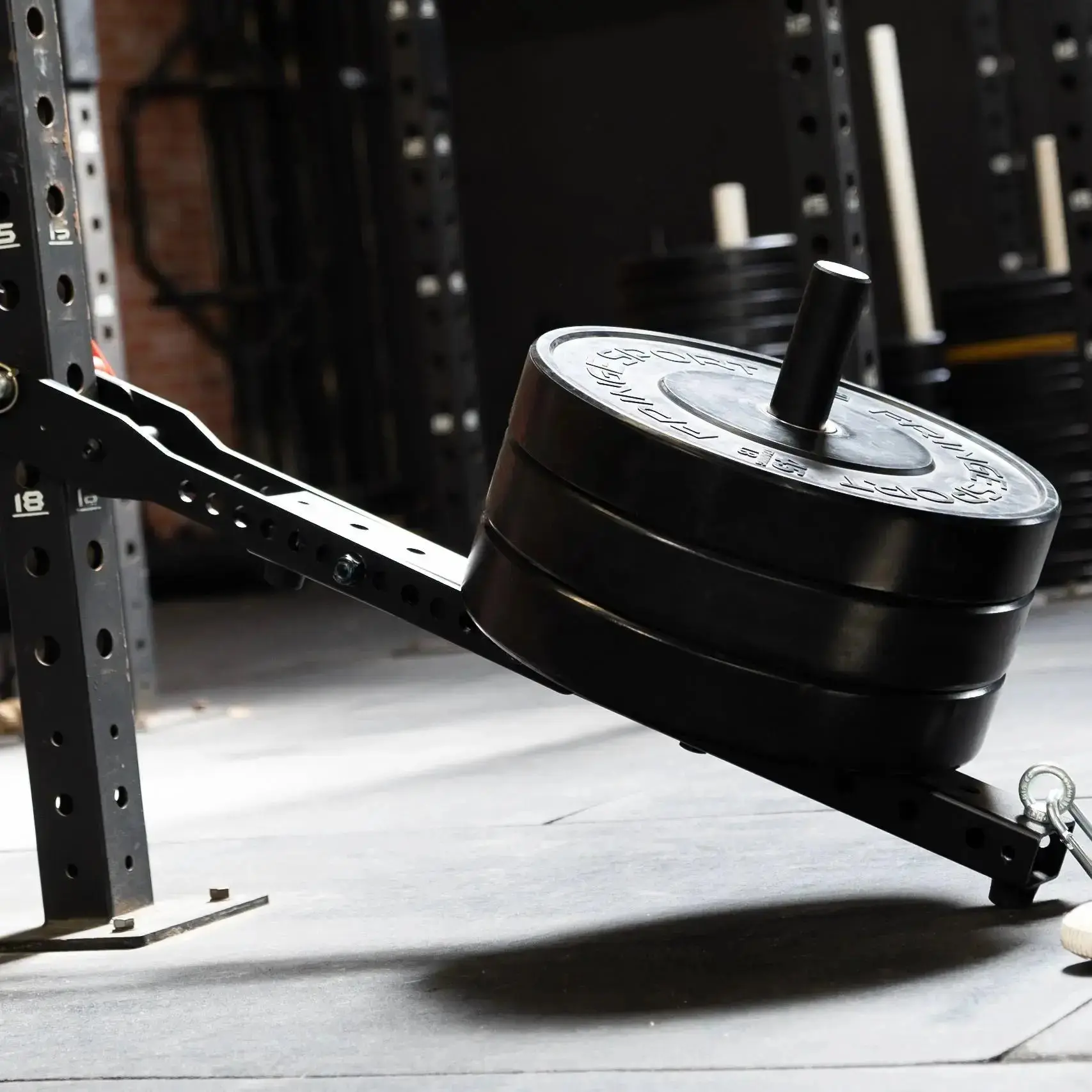 Mammoth Belt Squat (With Free Belt) - Image 18